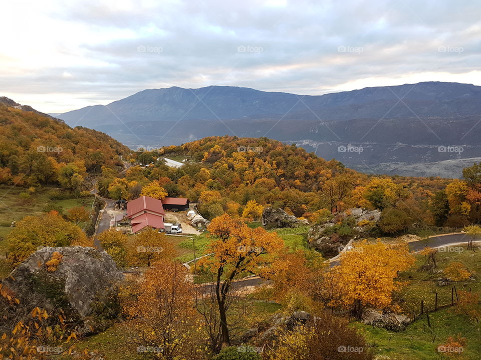 Autumn nature view 