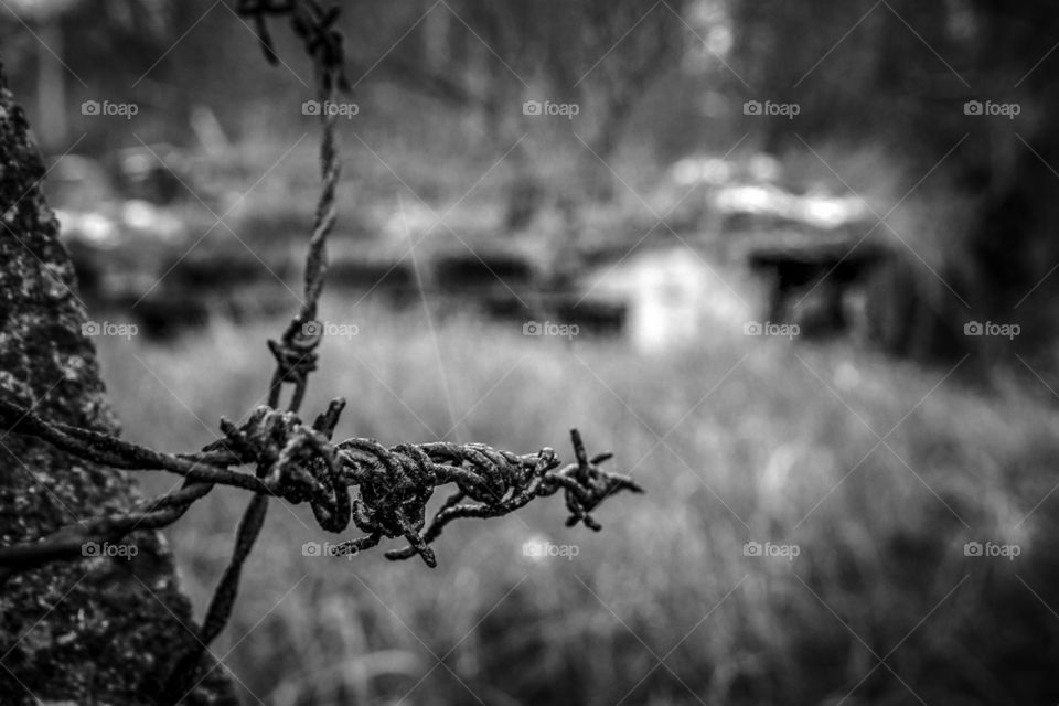 Barbed wire