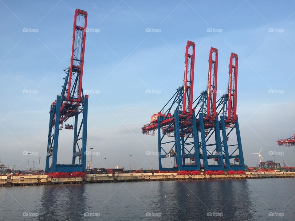Marine crane. Marine crane in Hamburg