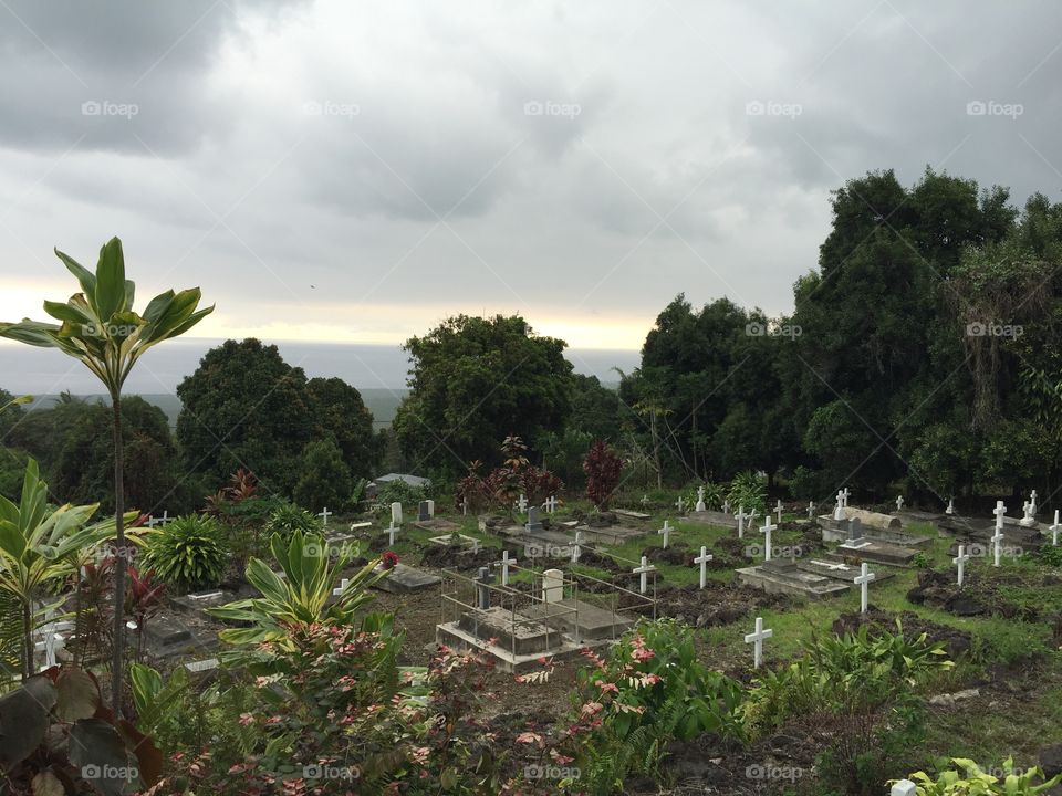 Cemetery 