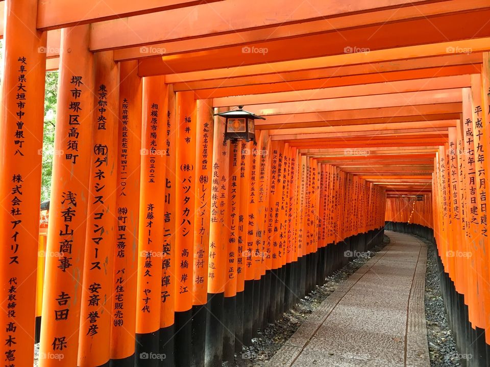 Fushimi Inari Taisha. 