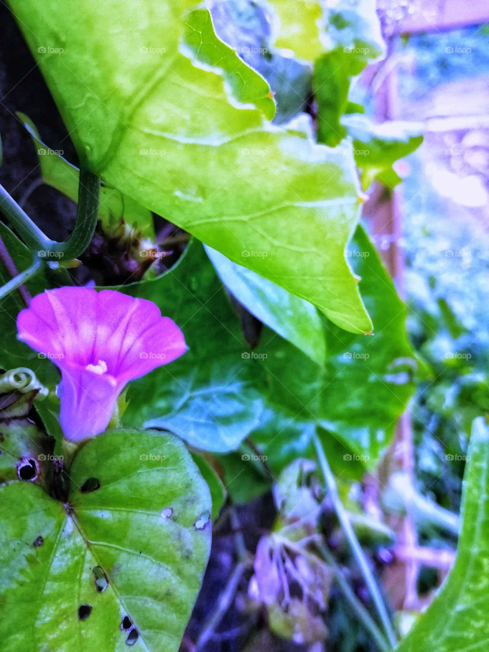 Stretching hand on Doorz