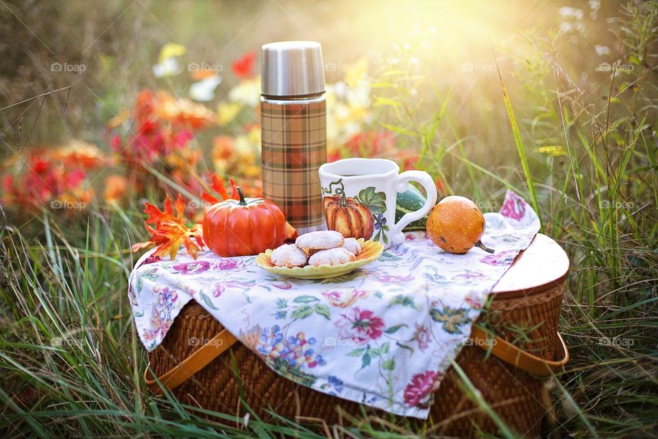 Halloween!
a marvellous picnic with you and your friends is perfect to get you ready for Halloween 
imagine enjoying yourself with your friends in a park filled with autumn leaves and enjoying your pumpkin spices...