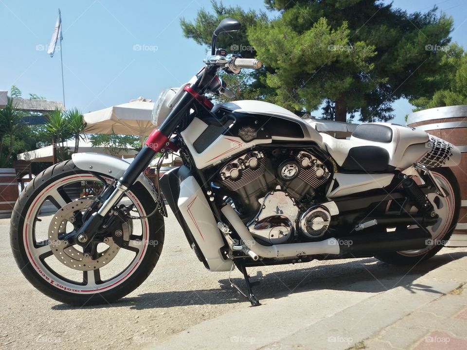 Harley Davidson near beach. Psakoudia, Road House beach bar, Greece