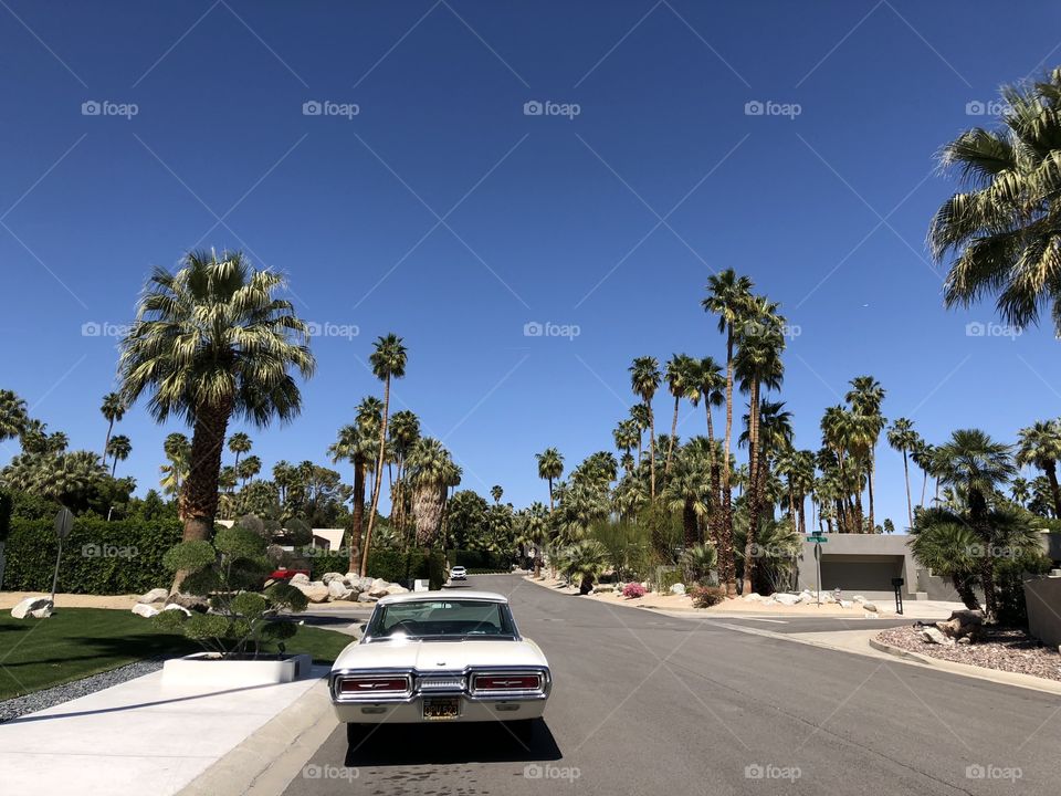 a street in palms springs with ford thunderbird
