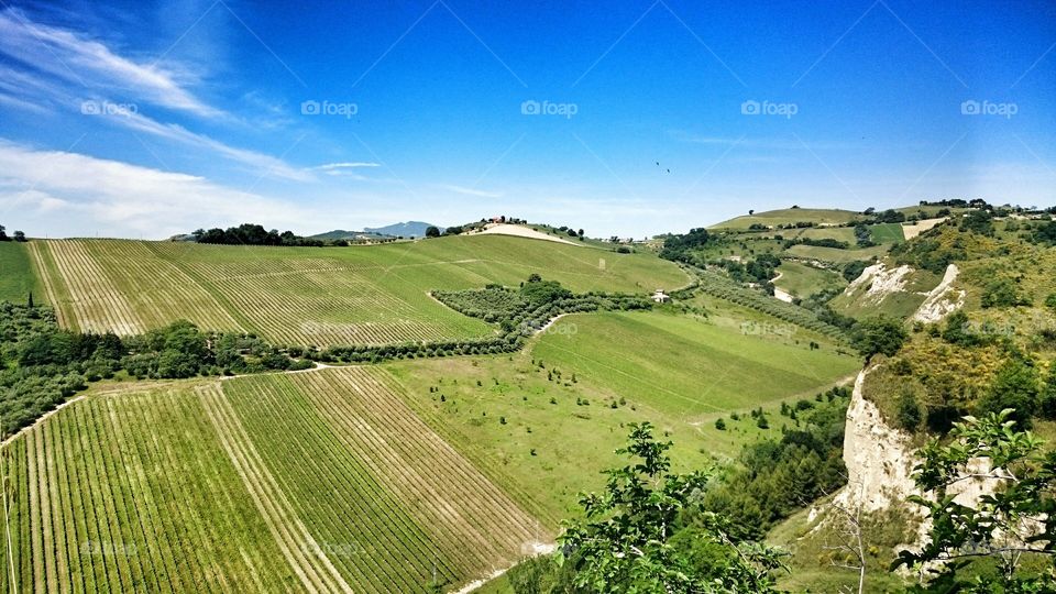 the beautiful country . taken in Offida, Ascoli Piceno, Italia 
