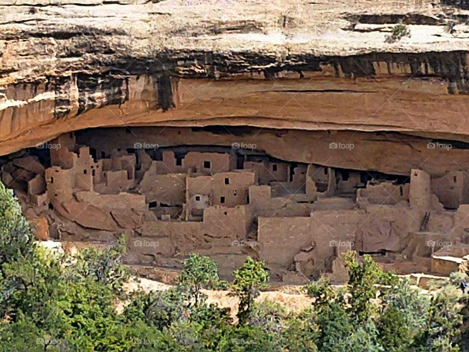 Cliff Palace, Mesa Verde National Park