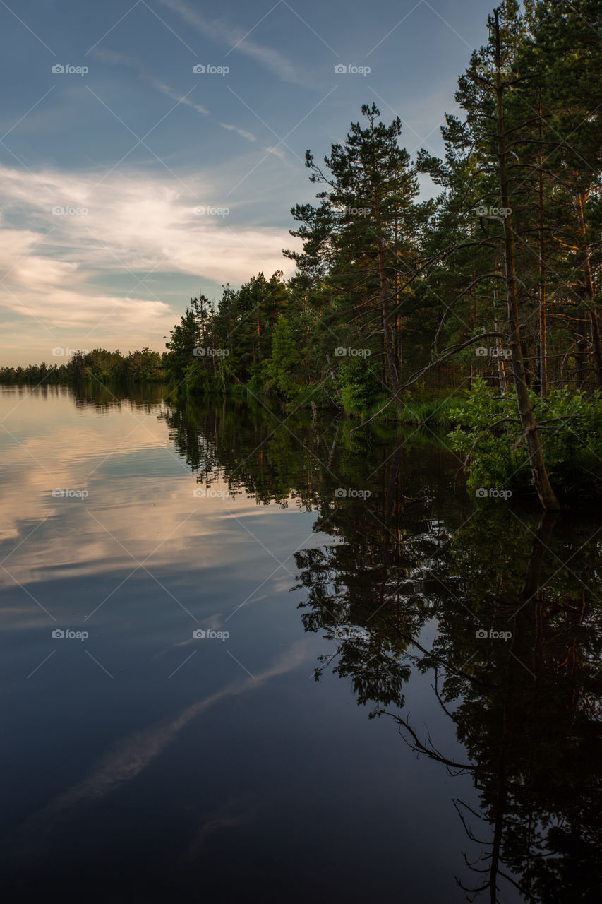 Summer. Sunset. Lake. Forest.