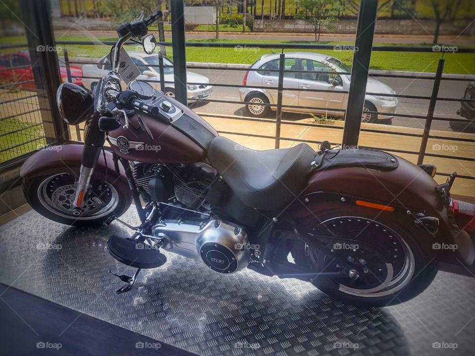 moto motocicleta motocycle