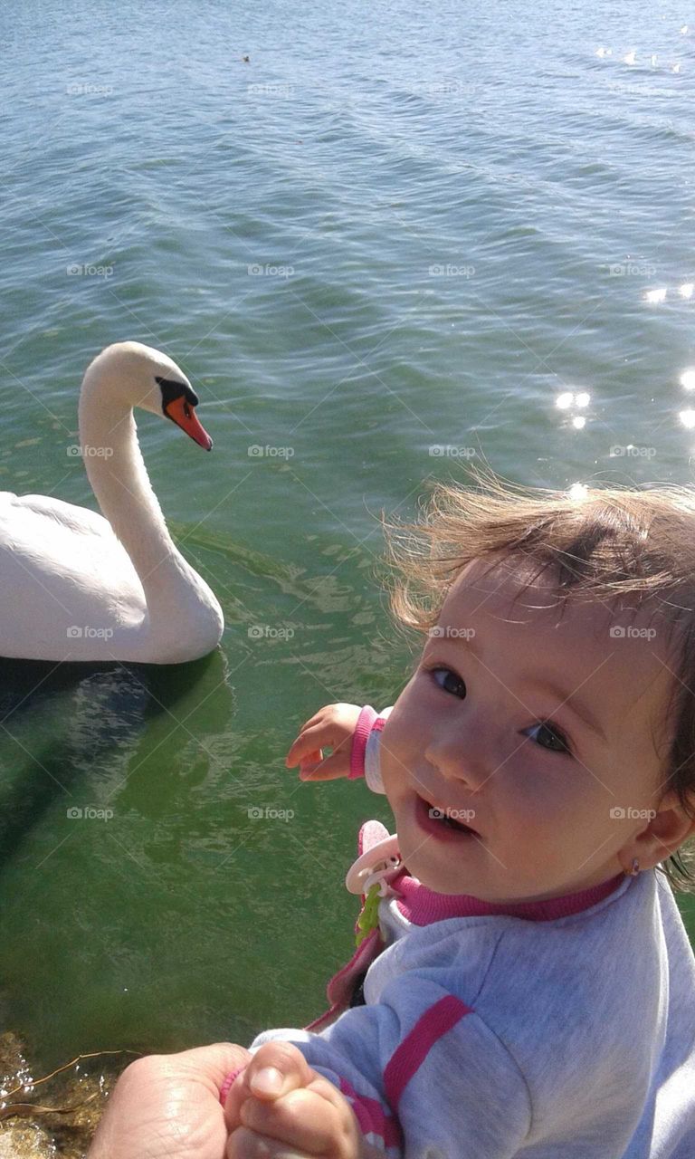 My girl and swan...