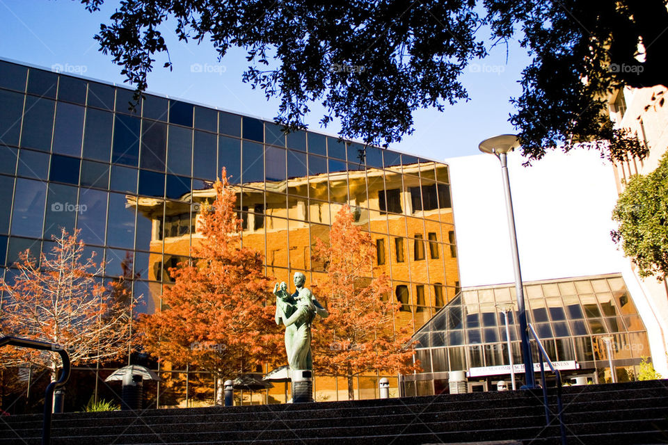 UT business school