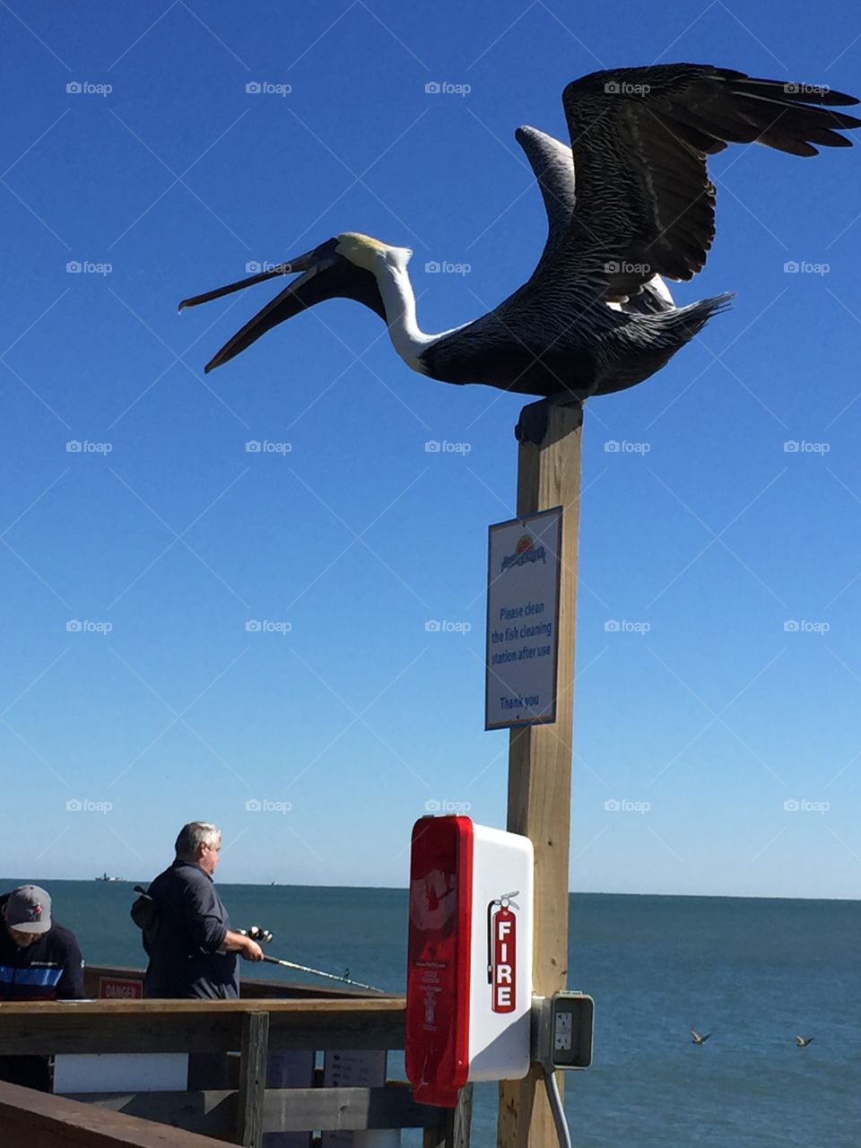 Guarding the pier