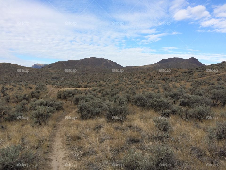 Hiking in the desert! 