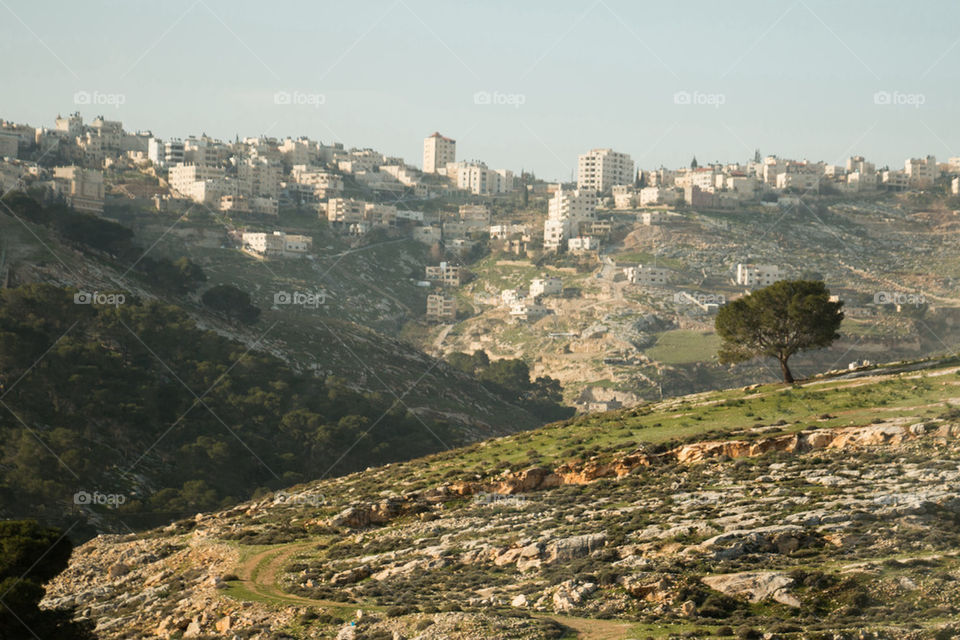 Israel countryside 