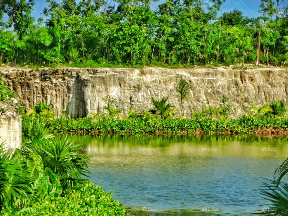 Tropical Lagoon
