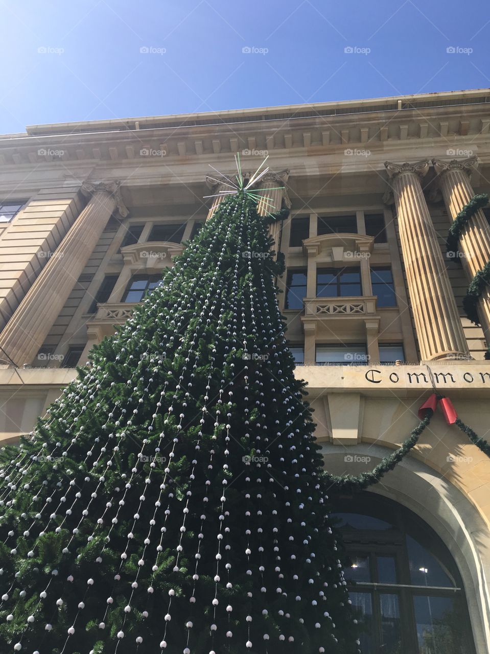 A big Christmas tree is in the centre of the city.