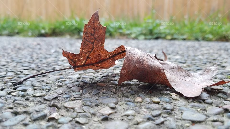 Leaf sculpture