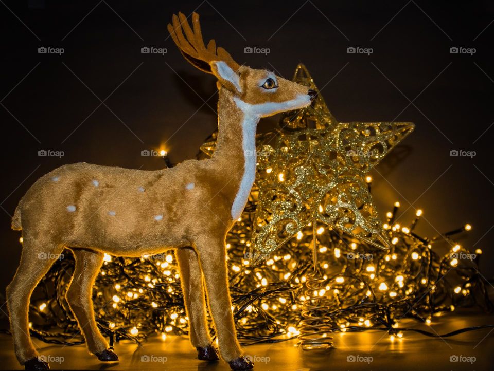 Christmas decoration Reindeer, star and lights