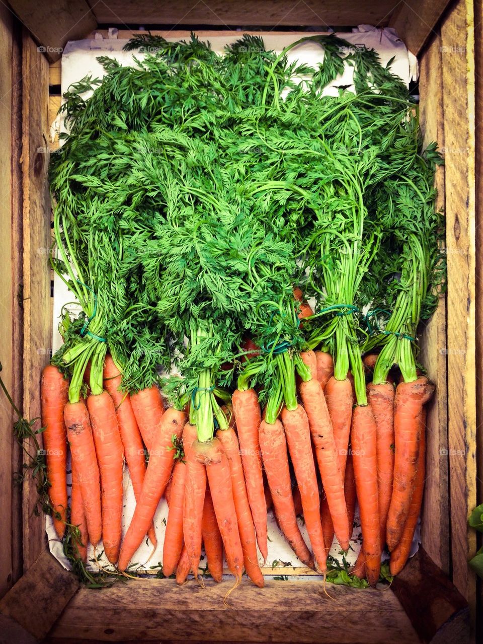 Carrots in container