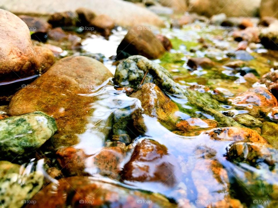 Macro lens shot of some rocks in a stream while camping in Massachusetts 