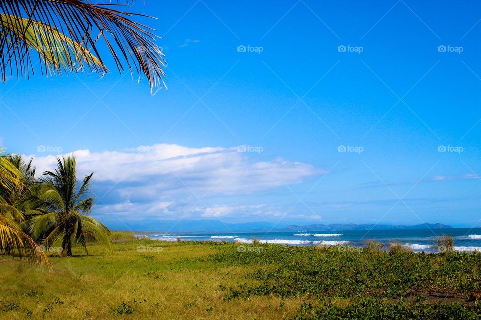 Beautiful landscape on the Pacific coast