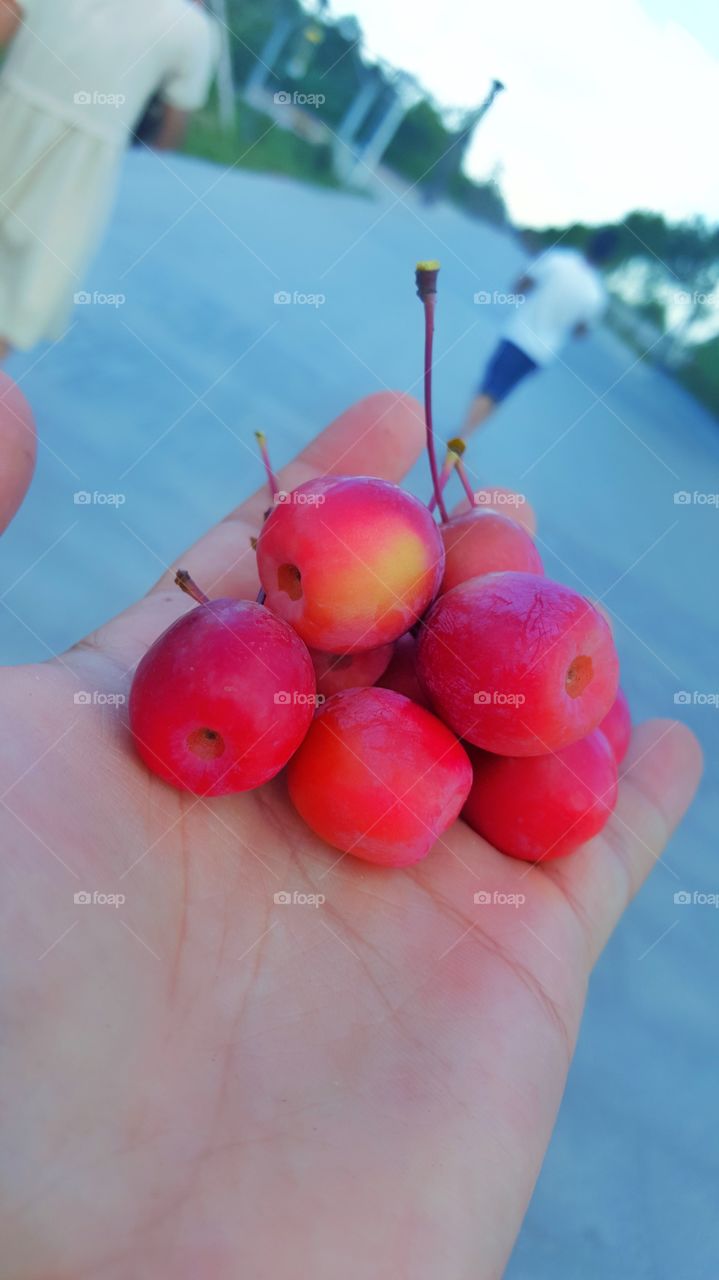 Small Apple's 