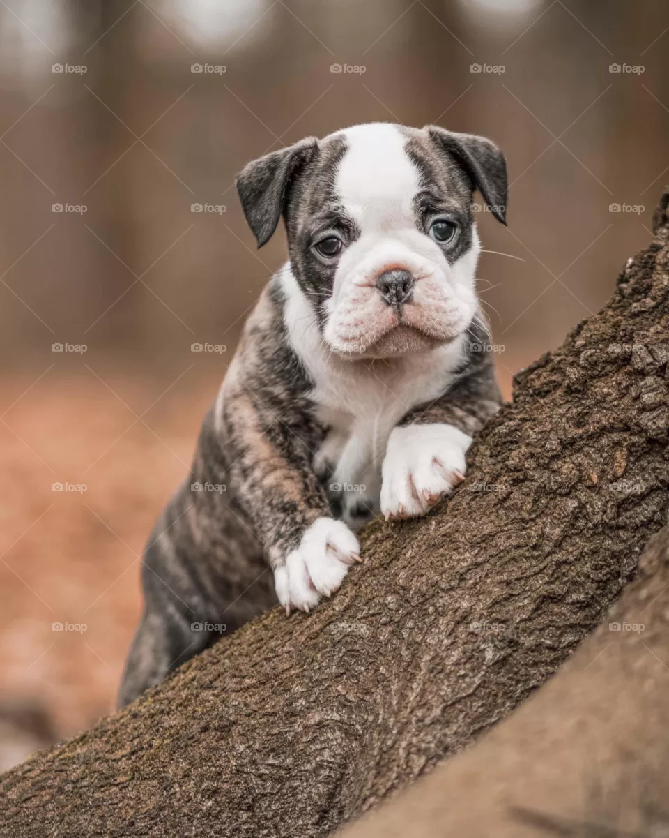 Cute 