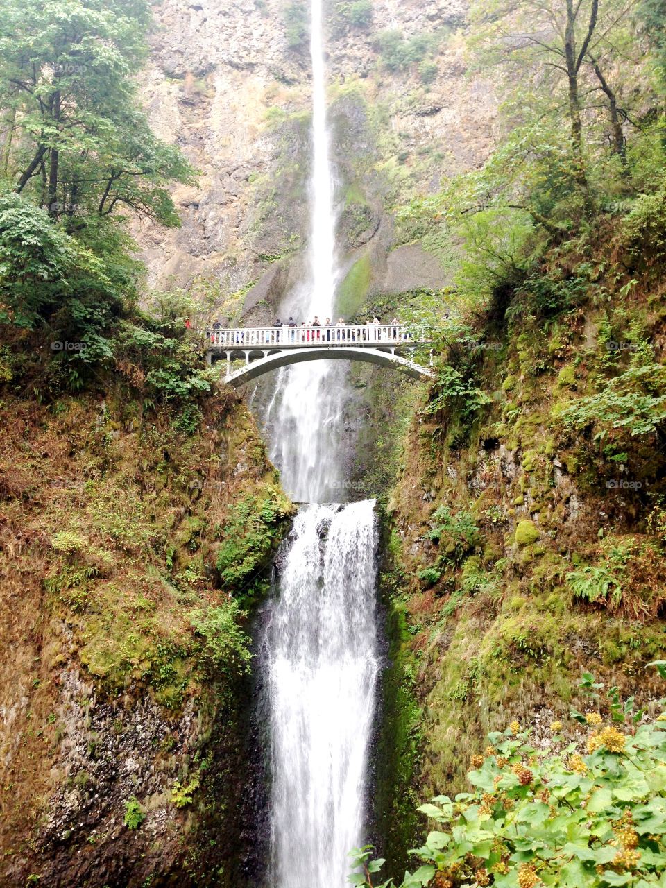 Hiking the Multnomah Falls in Oregon 