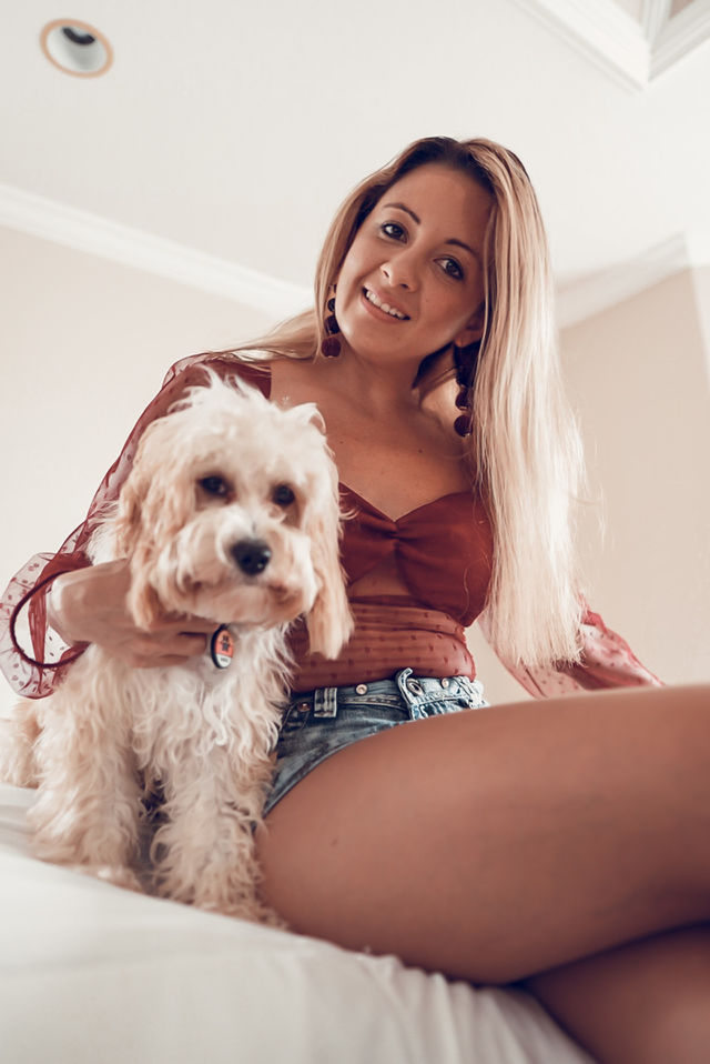 Amigos peluditos
