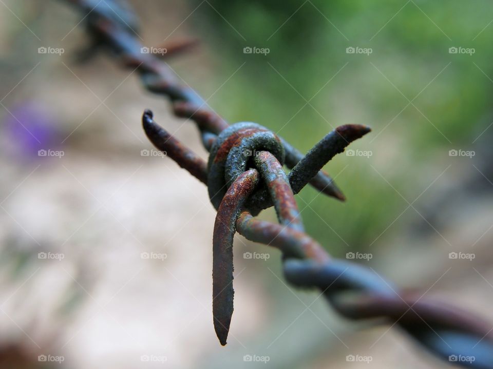 Old barbed wire