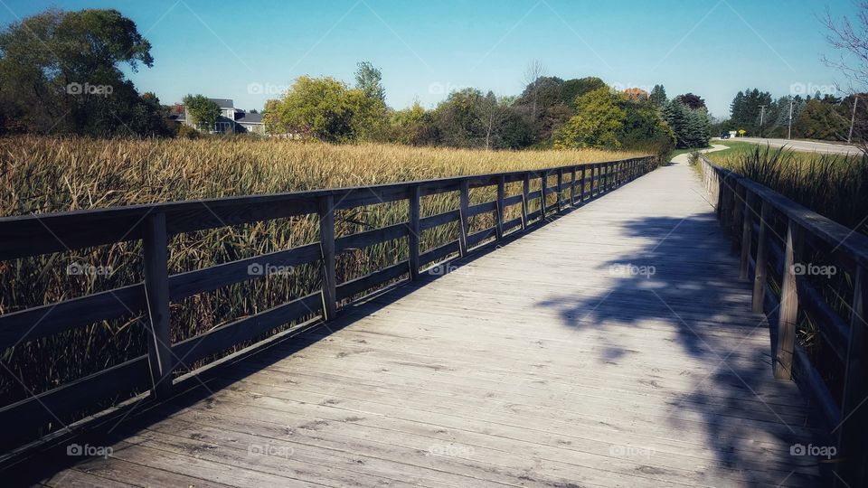 Boardwalk