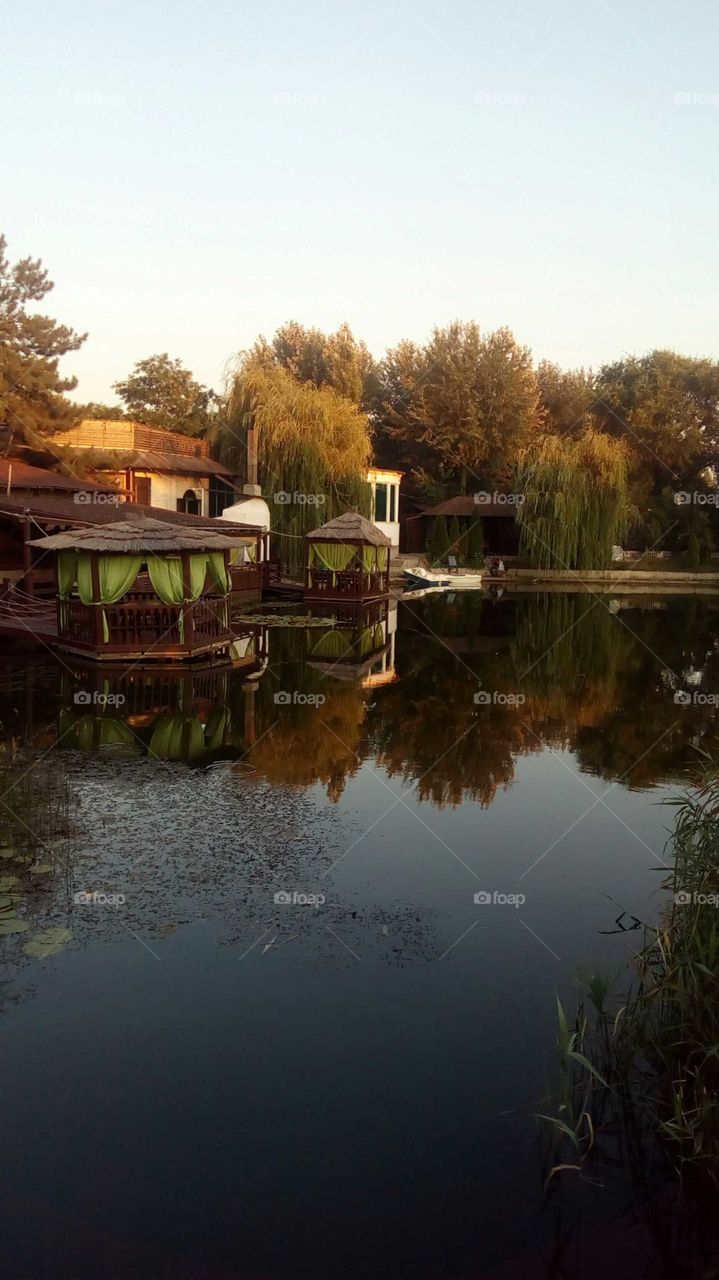 Evening at pond
