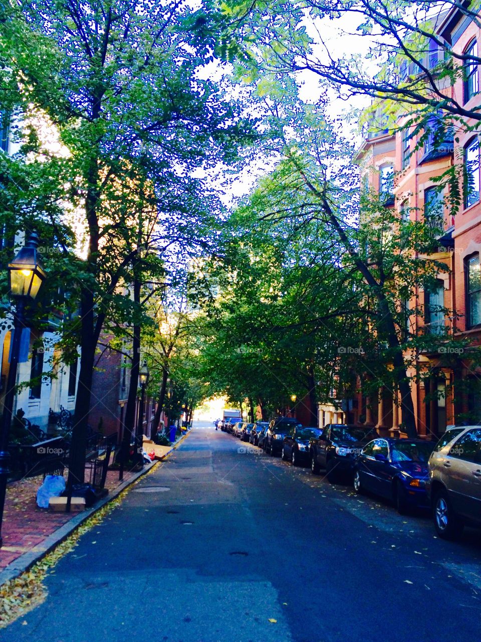 Boston streets in spring