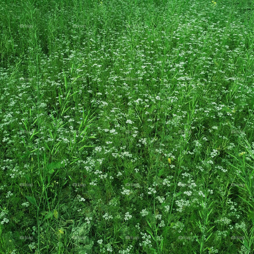 How did you all like this photo?