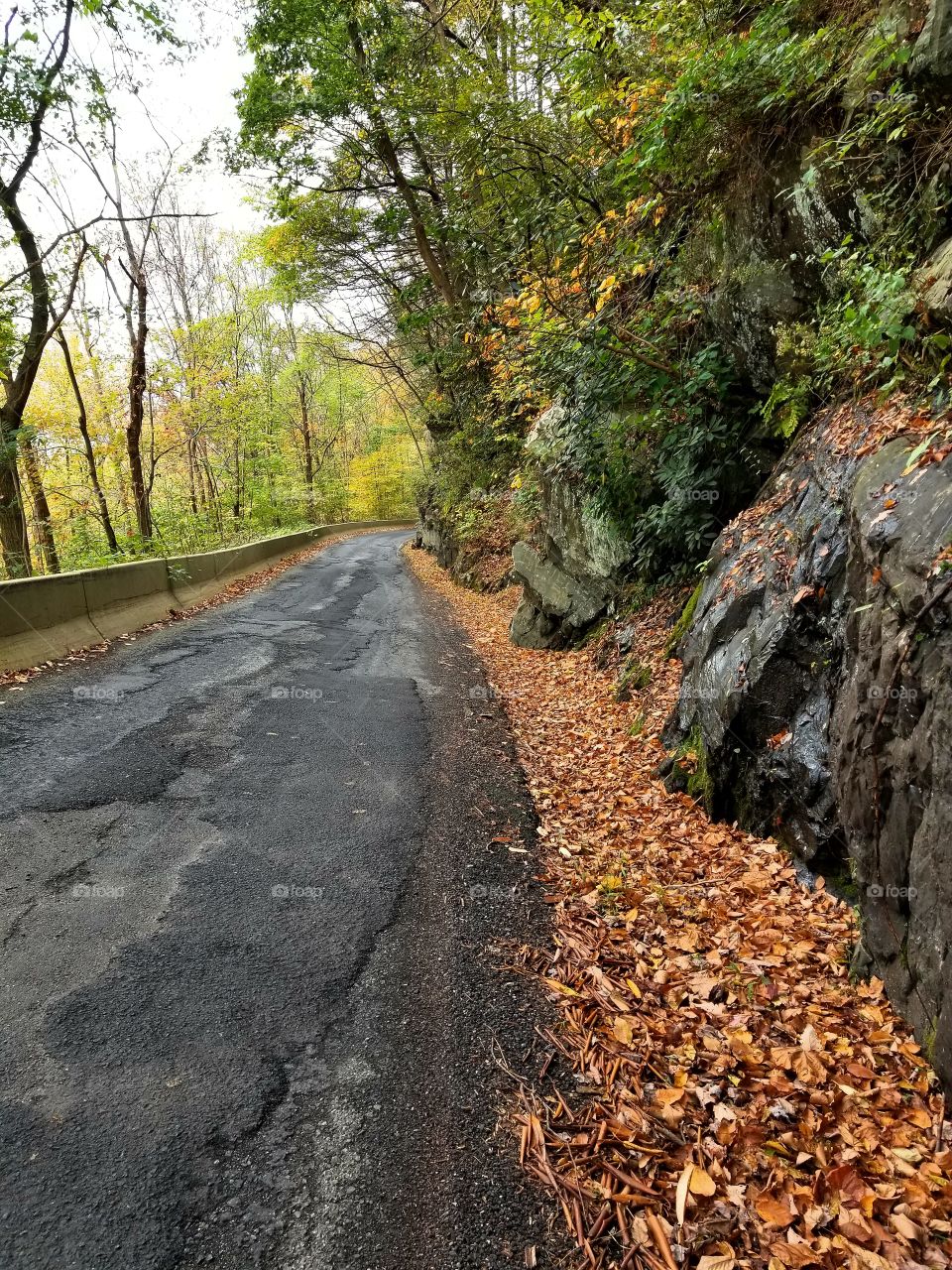 Guidance, Road, Fall, Nature, No Person