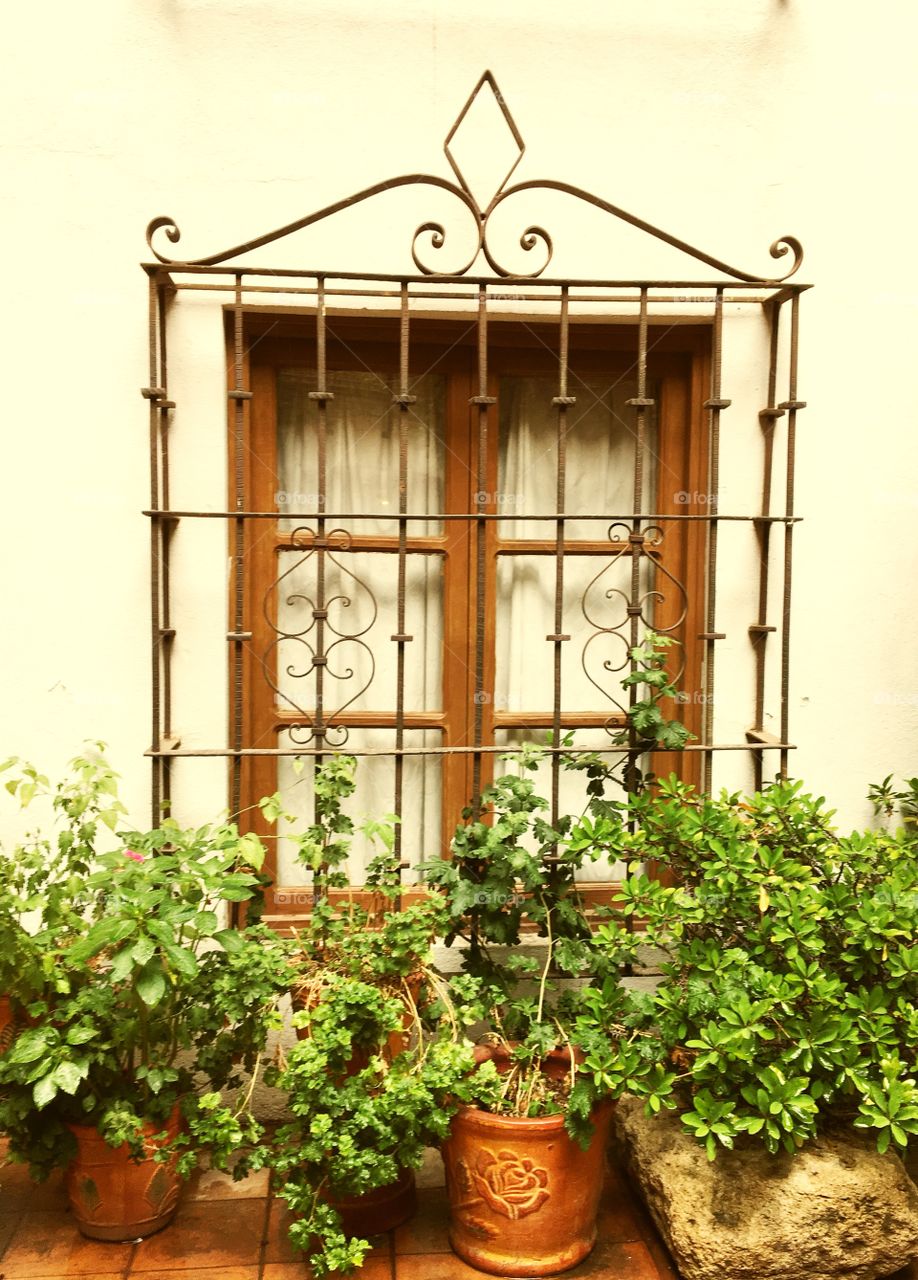 No Person, House, Garden, Growth, Wood