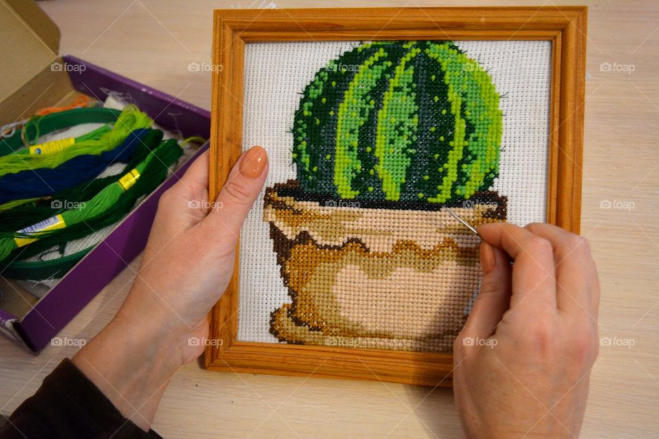 cross stitch cactus in the female hand hobbies