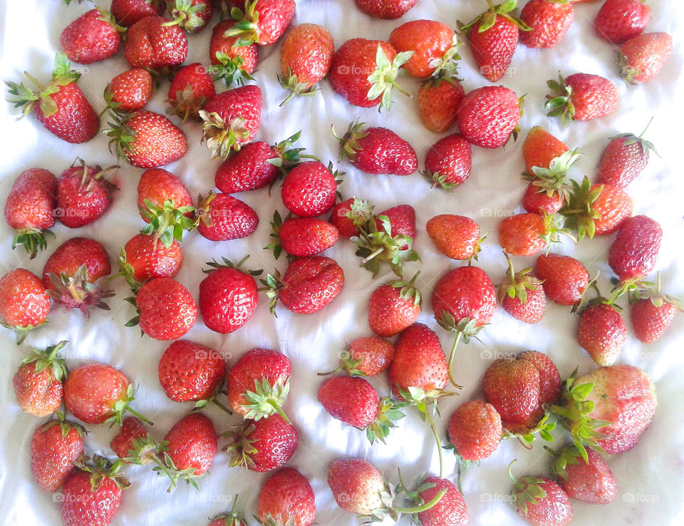 strawberries flatlay