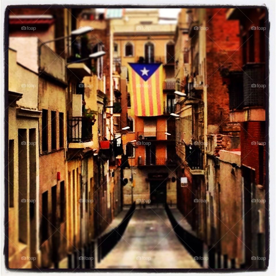 Catalan day