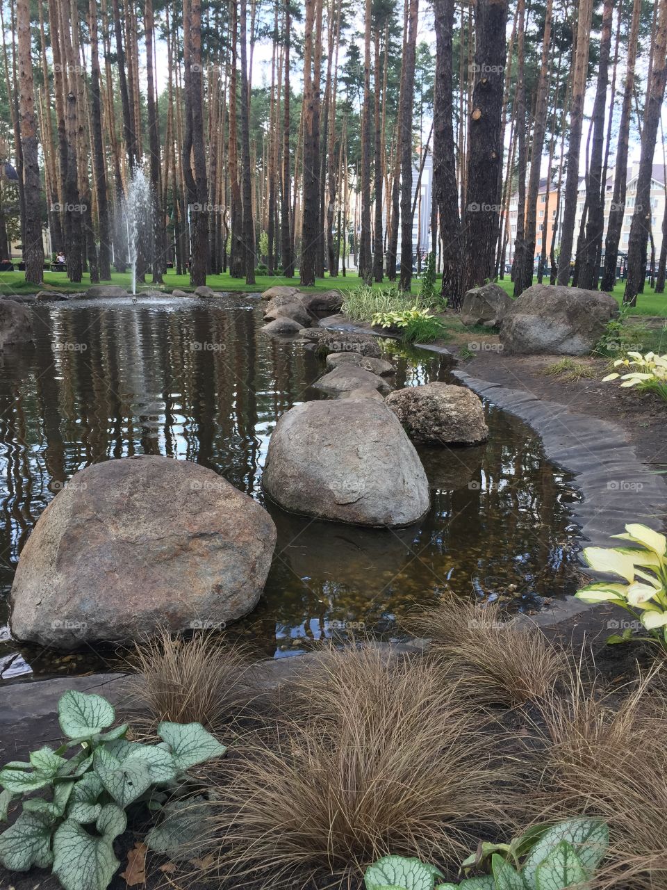 By the pond in the park