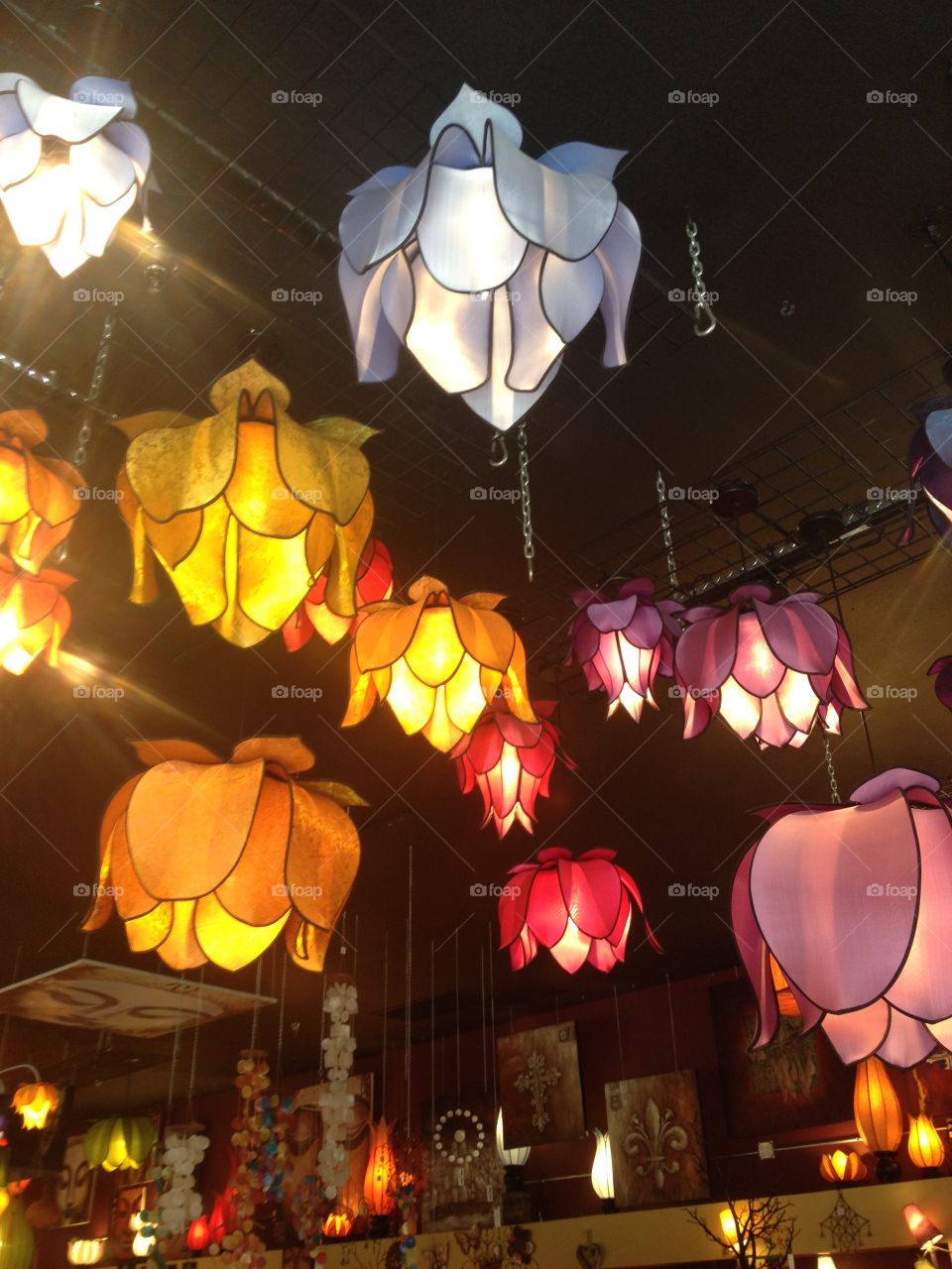 Water Lily Lamps