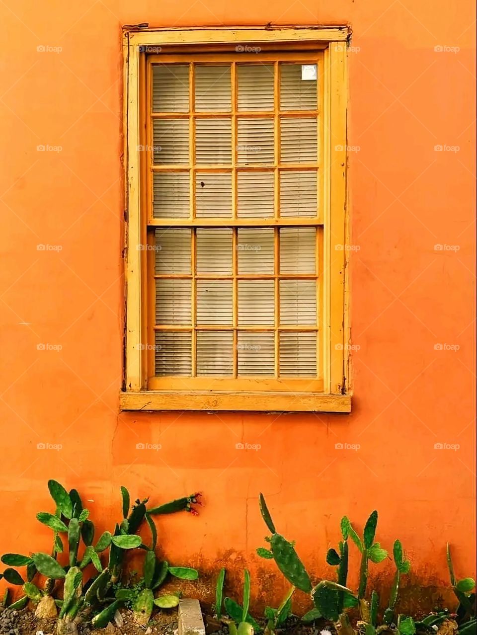 A very beautiful picture, and there is no better picture than it. There is no better picture of green herbs and colorful, red and white roses than it. Glory be to God, the natural and picturesque view, and there is no more wonderful picture than it.