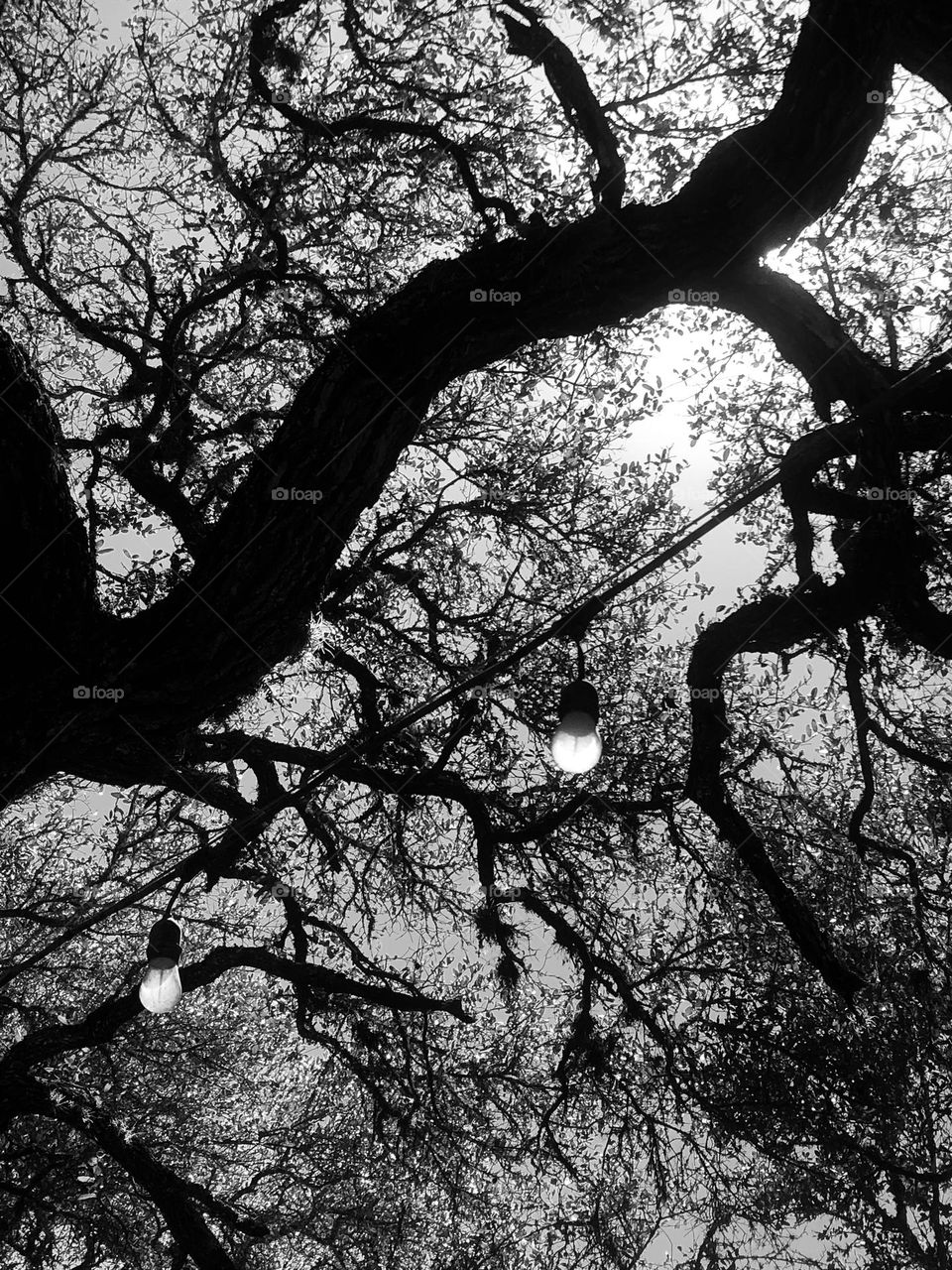 The party lights are off over the washer court here on the ranch in Texas, but they look illuminated from the sun beaming down on them ππ»π€