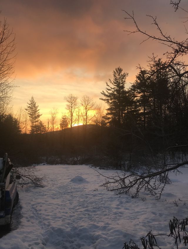 Sky