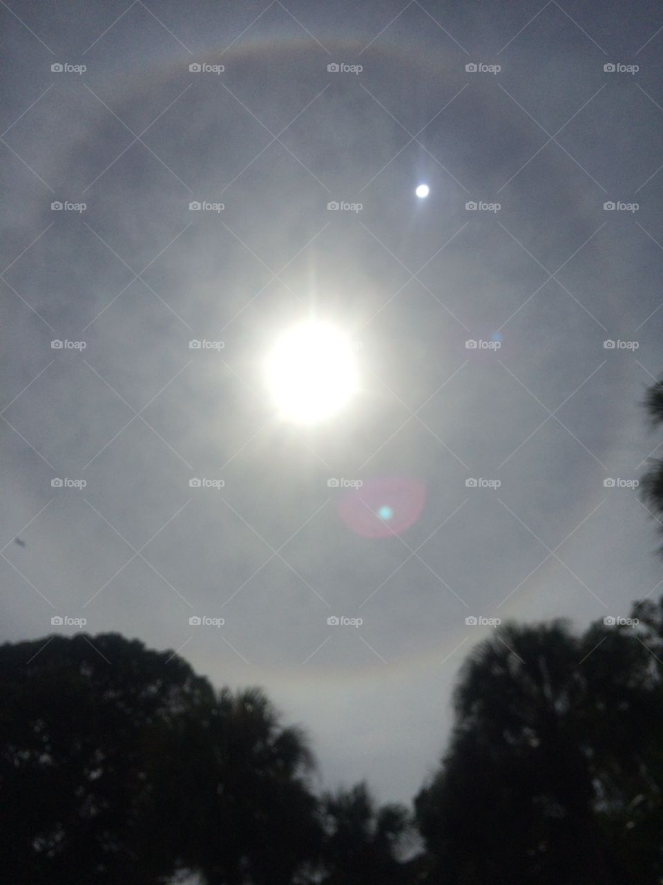 Sun Circle
