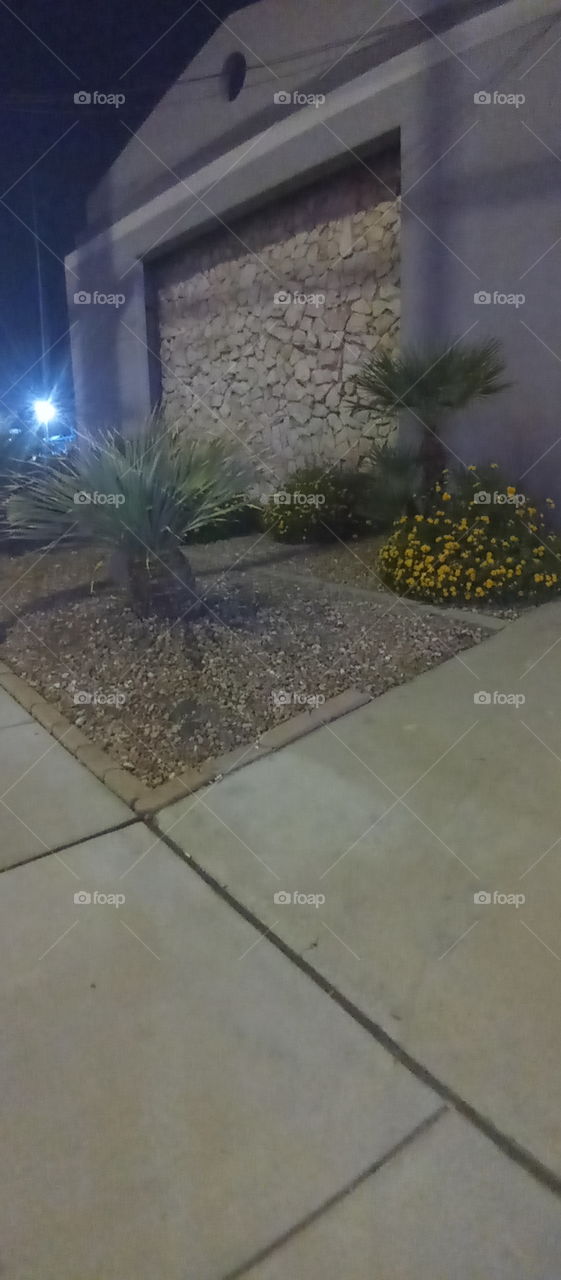 early morning walk down memory lane