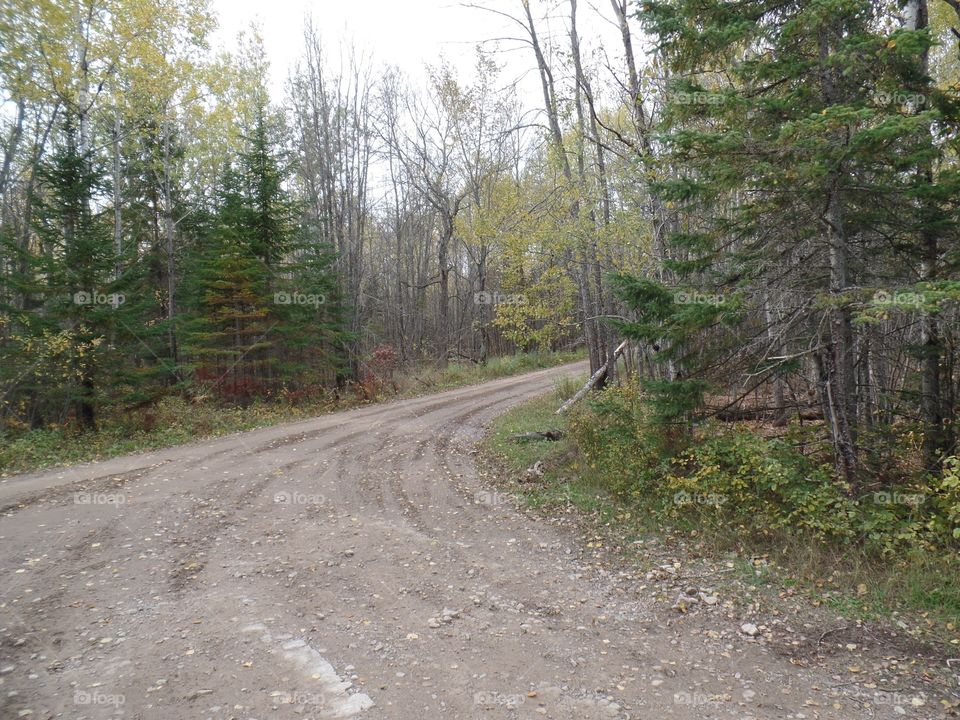 Drummond Island, Michigan 