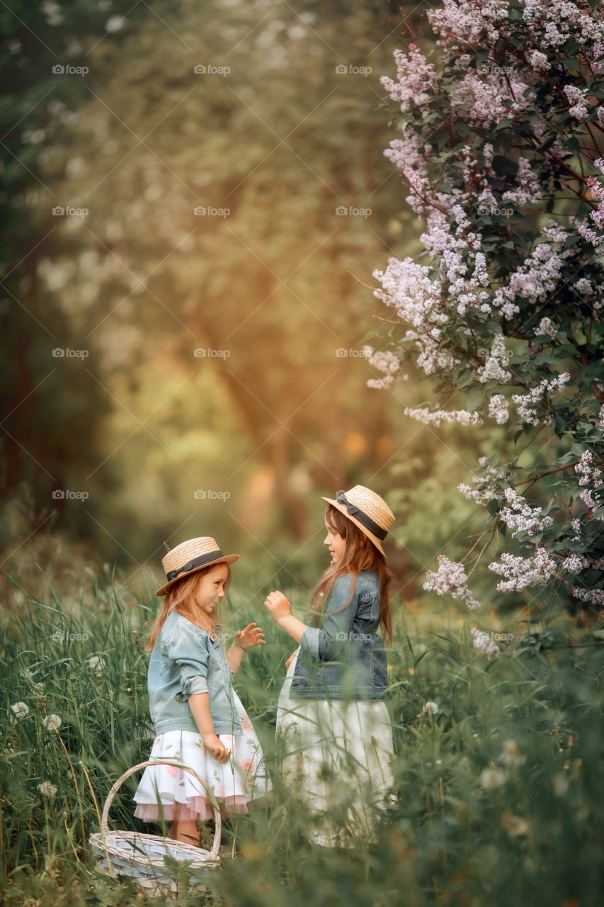 Little sisters in a hat near blossom lilac tree at sunset 