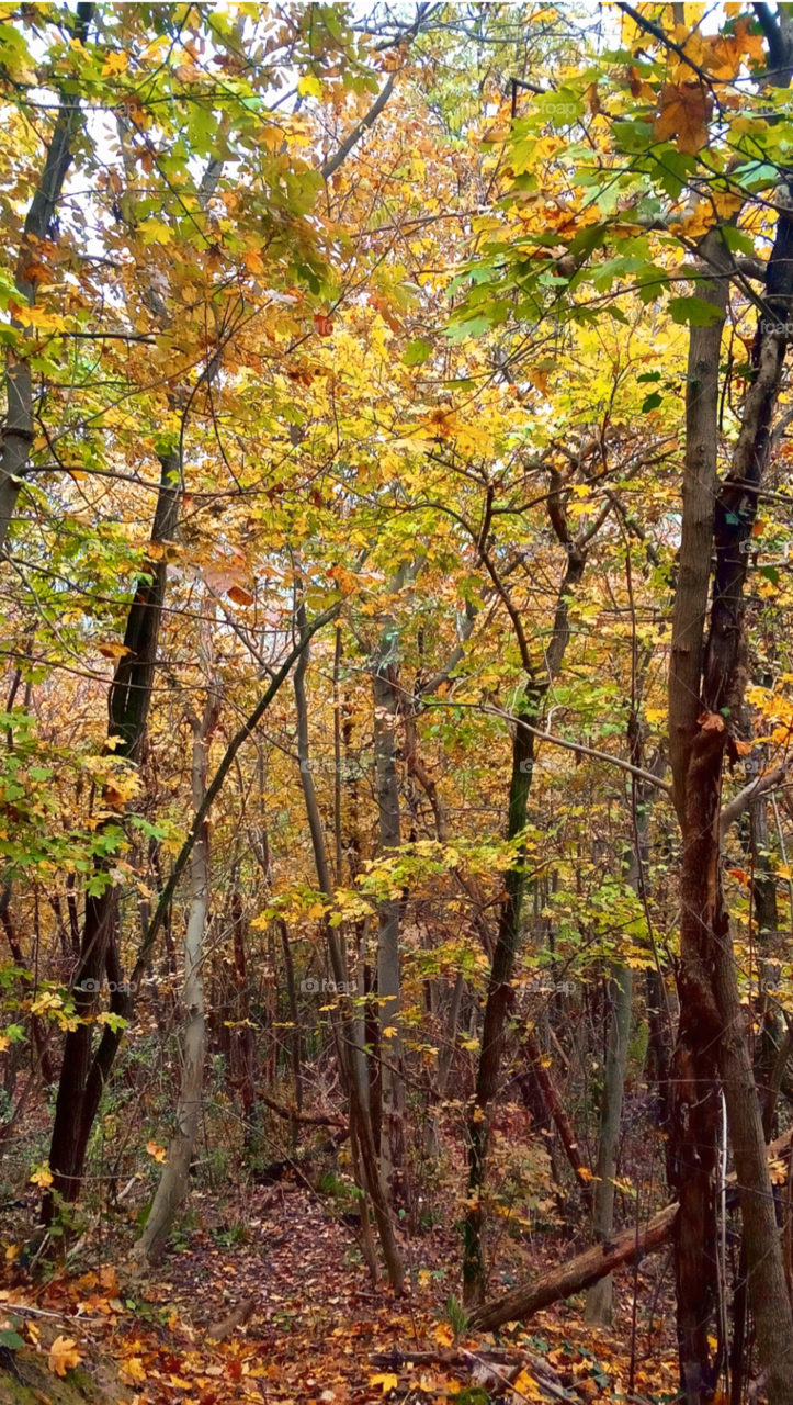 Next year again waking up, and now slowly sleep