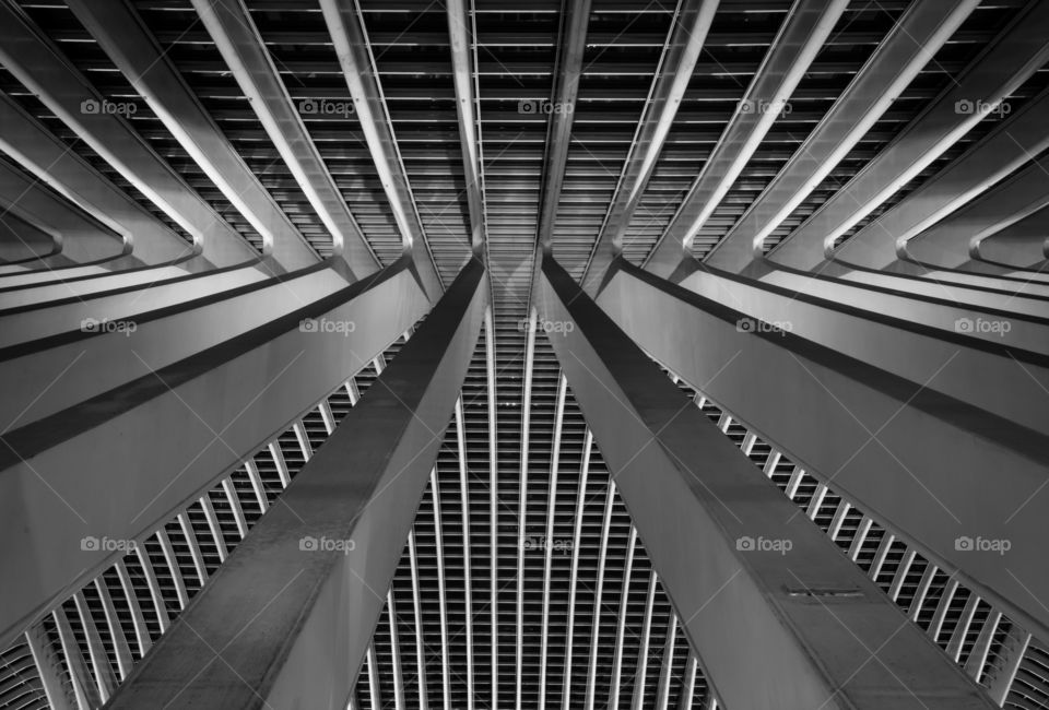 The roof of the modern station of Liege Guillemins